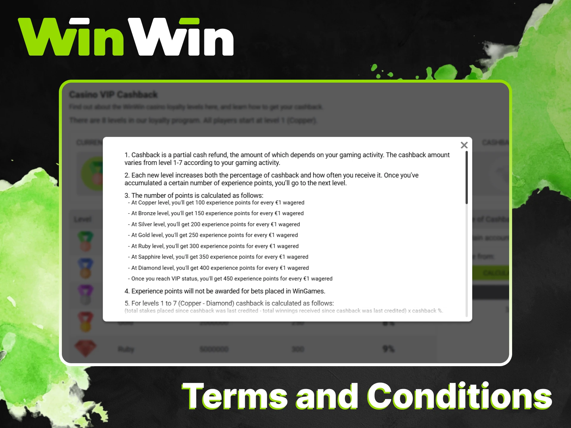 Read the terms and conditions of the WinWin VIP program.